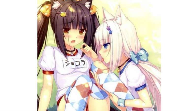 如何评价《nekopara》系列游戏?