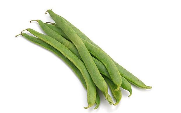 green bean runner bean 学名  phaseolus coccineus,中文名"荷包豆"