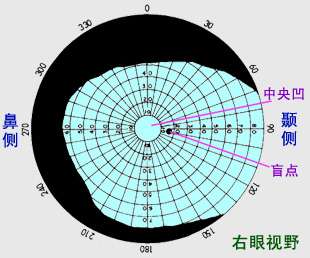 眼距宽和眼距窄的人的视界(视野)有什么不同吗?