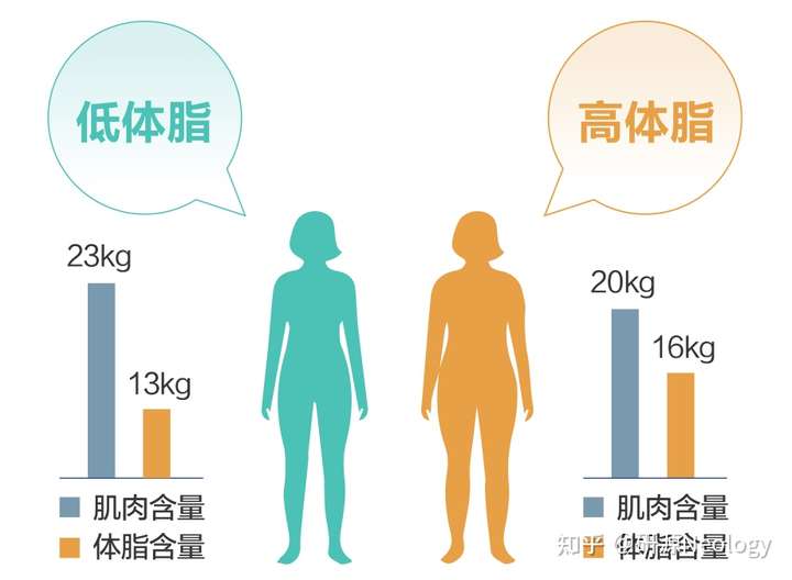 相同体重下,不同体脂含量的体型对比