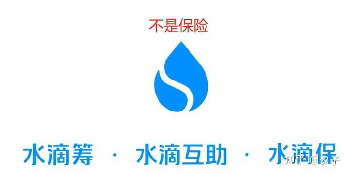 水滴筹这个保险机构是公证的吗?