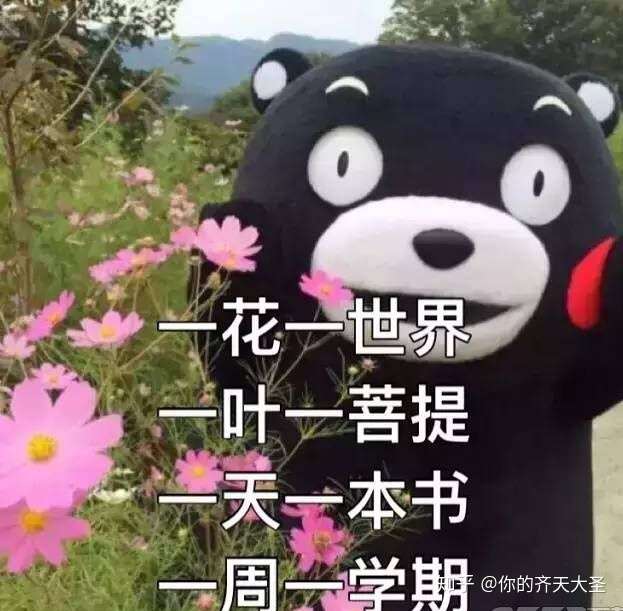 我真想知道学霸是怎么心无旁骛的?