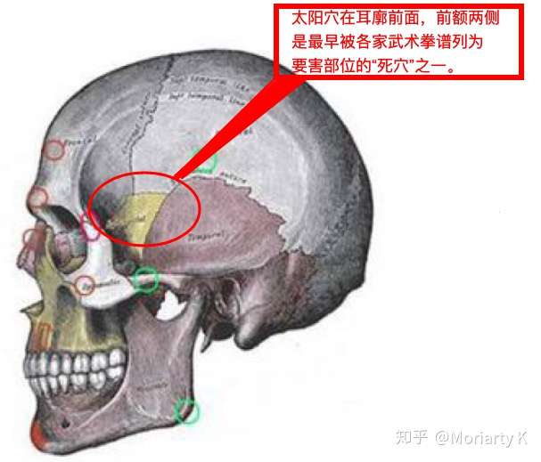 从医学的角度看,朝人的太阳穴打一枪头部会发生什么?