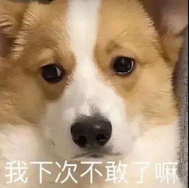 表情包美女难过