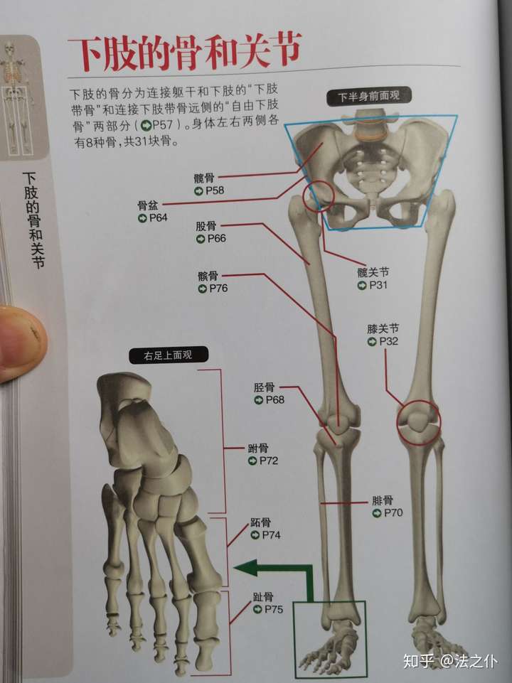 根据你的描述,该伤害情形是股骨和腓骨共两处骨折.