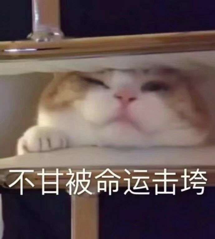 可惜我醒了