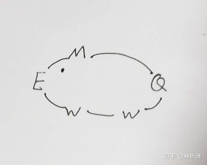 你可以给我画一只猪吗?