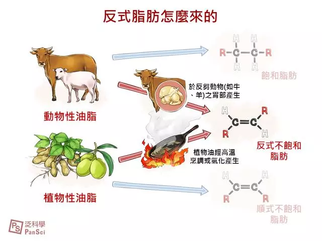 在牛羊胃中,经过细菌的氢化作用,也会形成反式脂肪酸,比如牛奶中