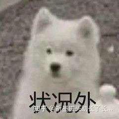 有没有女主可爱且佛系沙雕的文