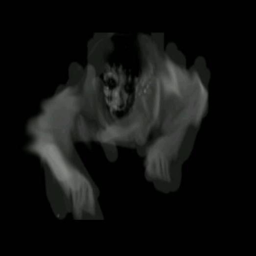 科学研究表明,鬼魂只存在于人们的大脑里.