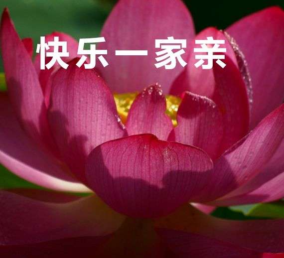 有什么可以和爸妈一起用的头像吗