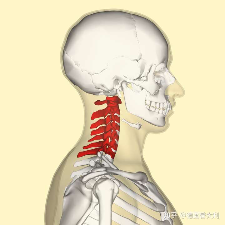 c3/4颈椎椎间盘突出都有哪些治疗手段?