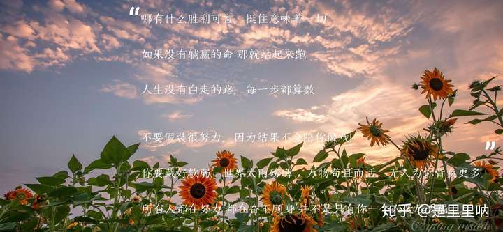 陌生人,一起加油呐!