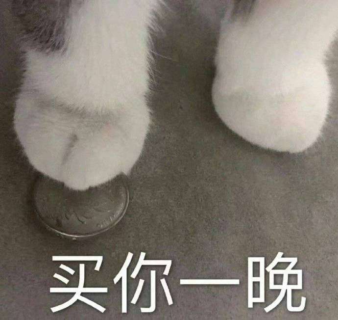 买你一晚猫爪表情包 谁有吖 快分享一下吧?