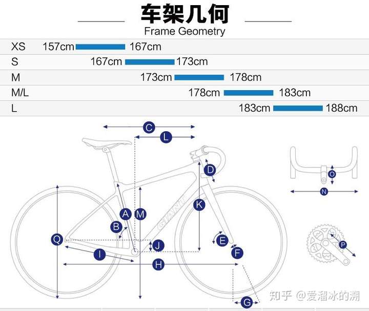 188身高 买捷安特tcr 什么尺码呢?