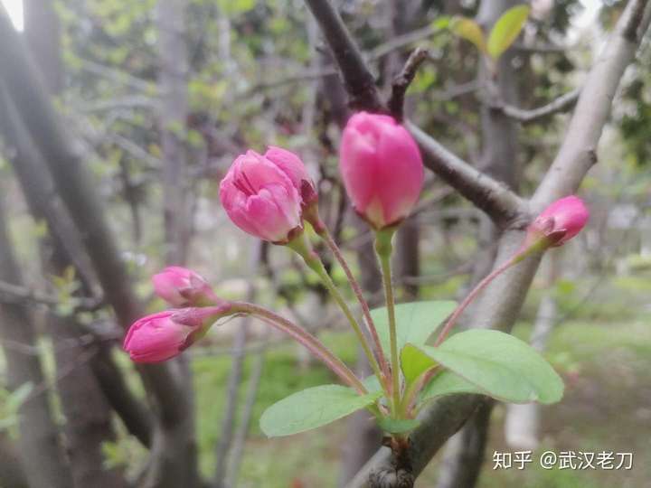 老刀：小区下放了“居民有序下楼活动时间分配表”