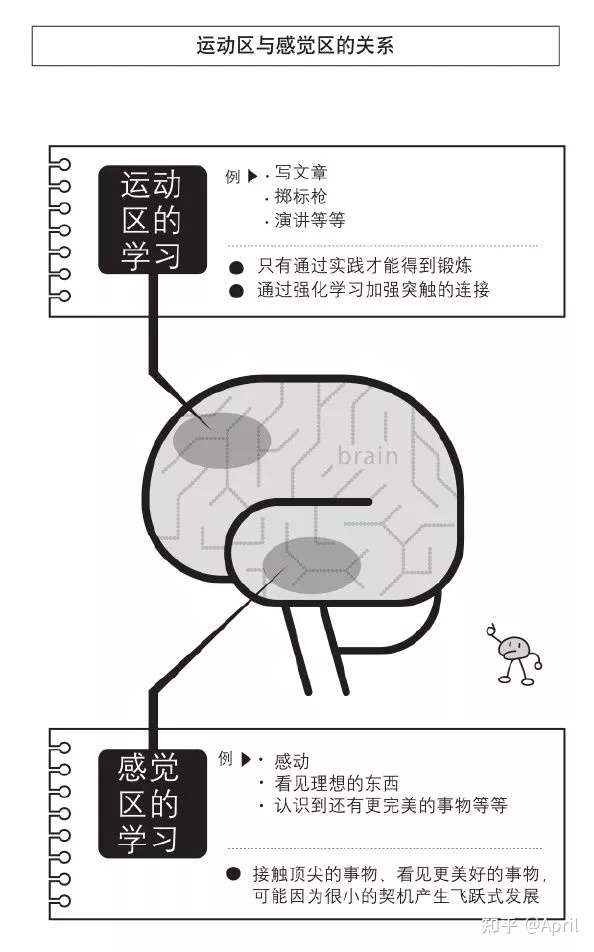 如何让大脑保持高速运行