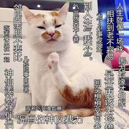 为什么"忍",是"心上有把刀"?