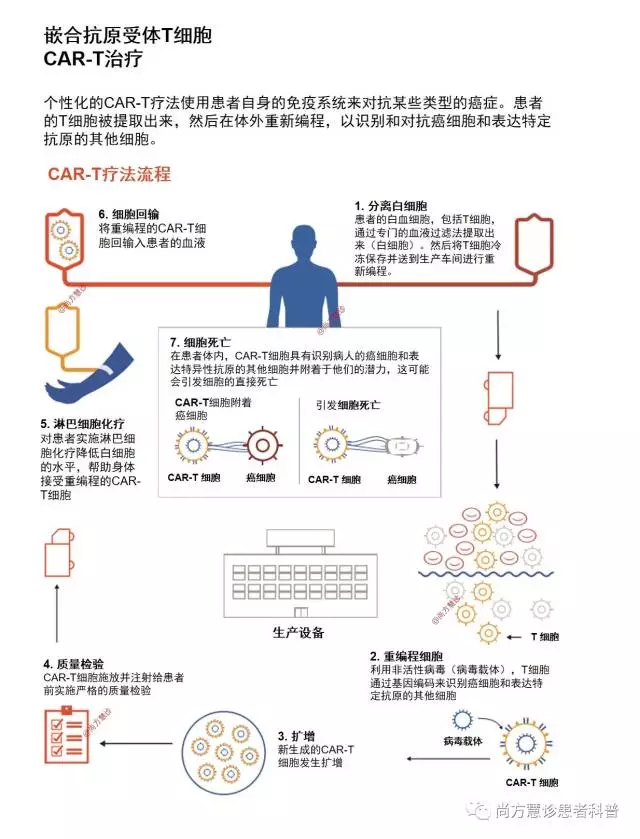 癌症治疗的新曙光:基因治疗深度科普 - 和乐怡佳精准