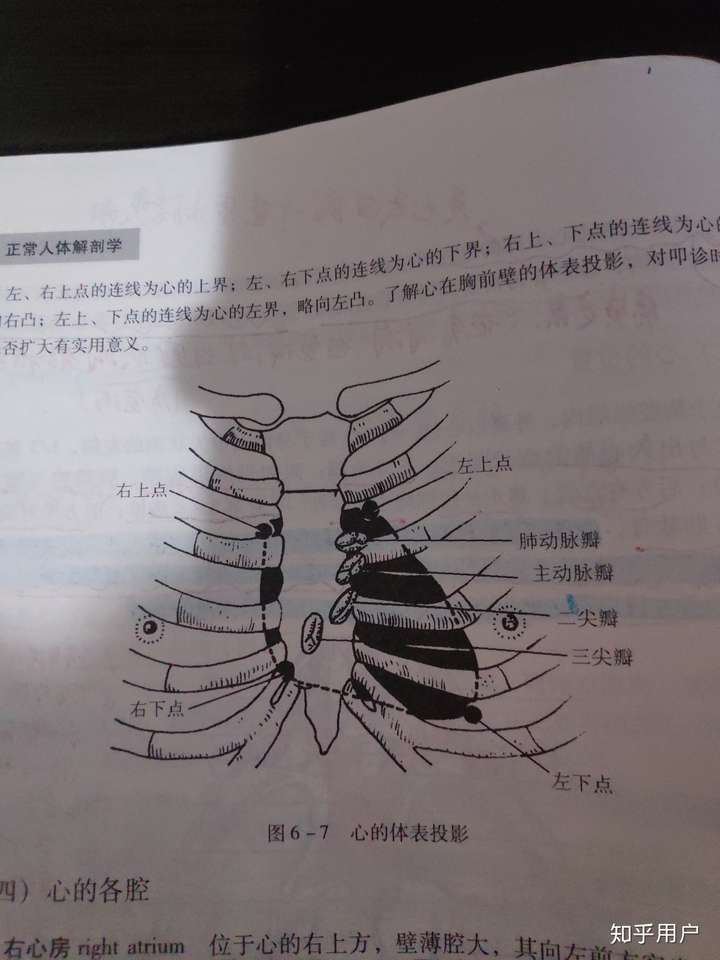 心脏解剖位置并不正对两乳头连线中点正下方,为什么按压部位选择在