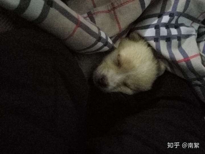 睡得晚就算了还臭烘烘的,洗澡都洗不香,一股臭狗味!