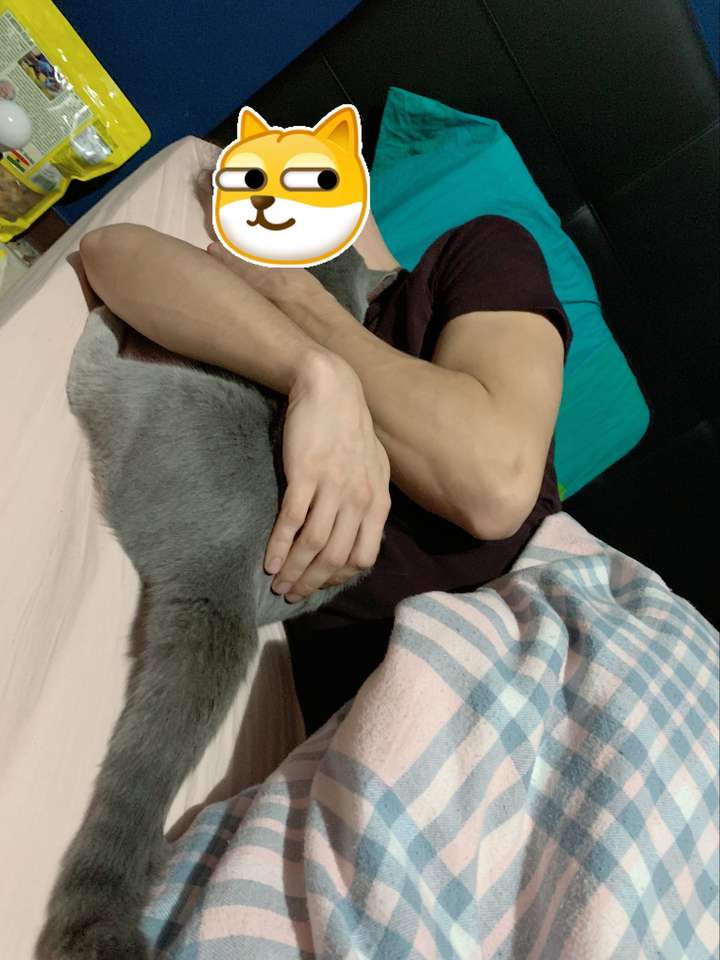 男朋友的妈非常讨厌猫,知道我养猫后,说结婚后一定要把猫送走,我很