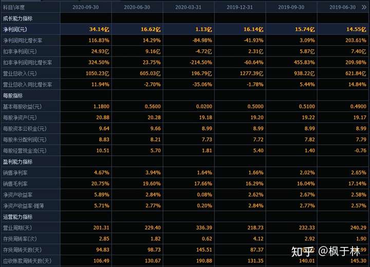 a股,比亚迪,这股票怎样看,末来加没可能上到500?