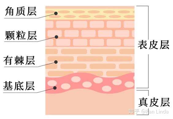 科普知道了这些才能更好的皮肤保湿