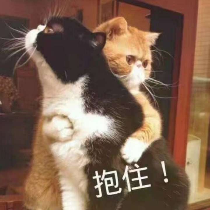 有什么可爱的拥抱图片?