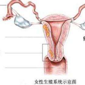 功能性子宫出血