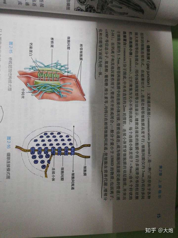 请问胞间连丝化学本质是什么?