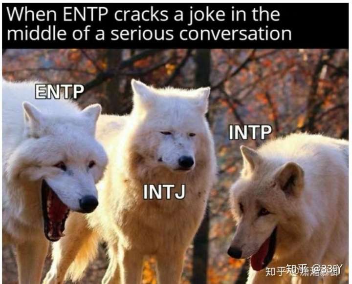 本人entp,问问各位entp是更喜欢intp还是isfp?