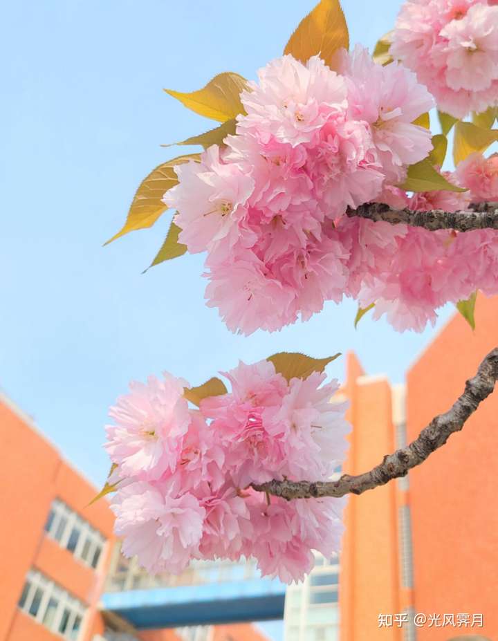 如何评价郑州大学在郑州的地位?