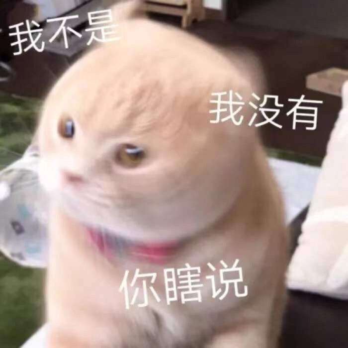 有哪些可爱的沙雕句子?