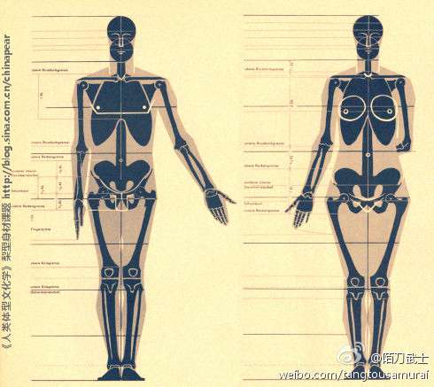 骨架不行,肌肉可以 雄性激素对于男性身材的影响 因为男人有先天性的
