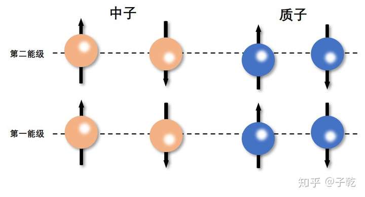 原子核内为什么基本都是一个质子一个中子的的比例?