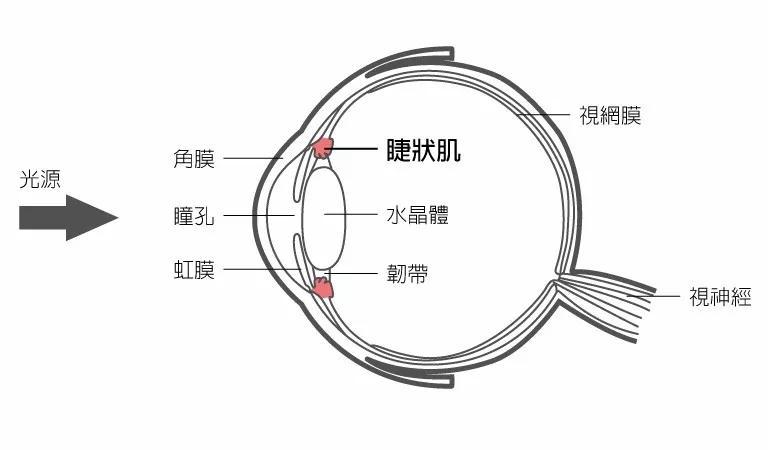 这些药水究竟有哪些,有没有什么副作用?又