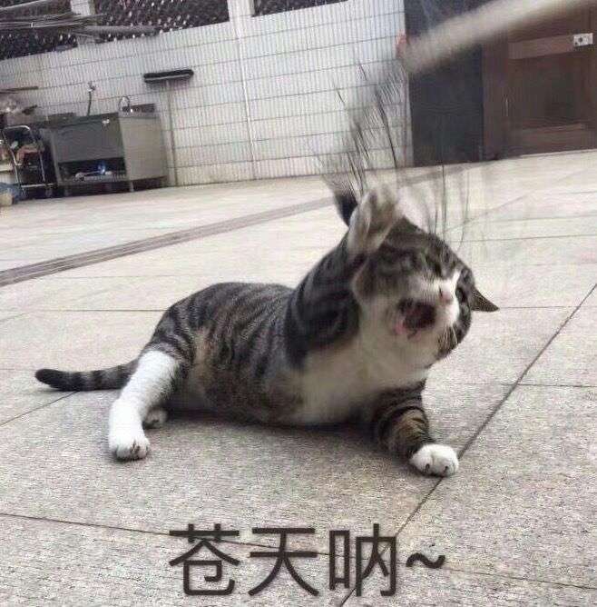 你或身边的人有哪些虚惊一场的经历?