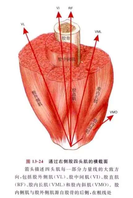 膝盖伸不直,内侧感觉筋拉住的感觉,强行伸直(膝盖内侧