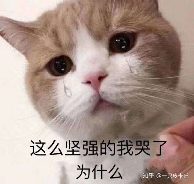 别走出了 坑底躺平吧