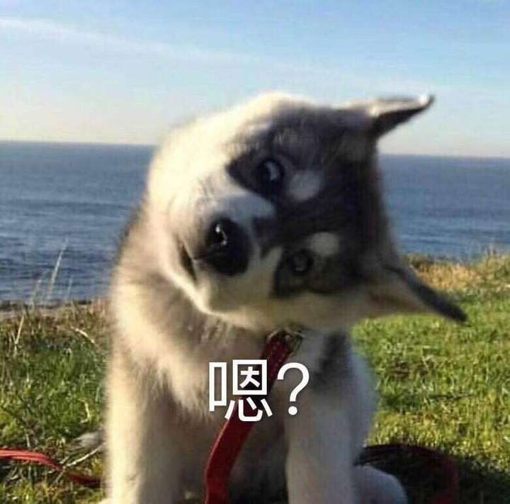 有没有类似于这种的沙雕动物头像?