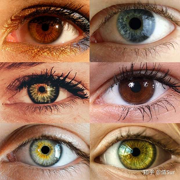 我们人类的眼睛颜色主要由虹膜上的色素决定.