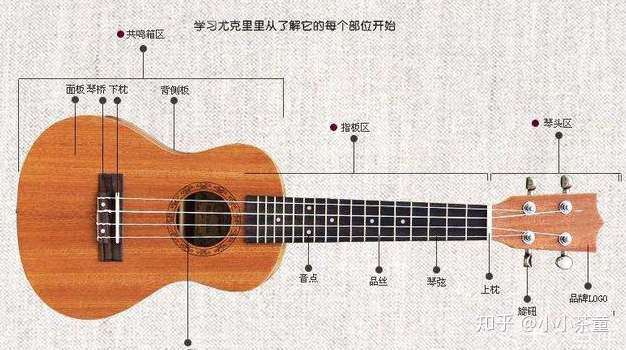 在大陆地区ukulele常被译为"尤克里里",在港台地区也被译为"乌克丽丽"