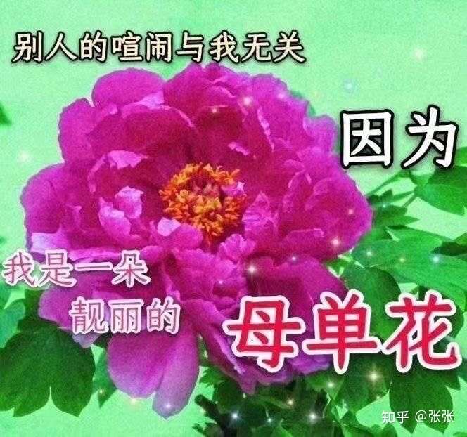 妈妈逼着换头像qwq有没有看起来超级乖的头像