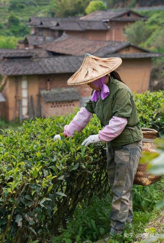 中国有哪些著名茶叶品牌或代表性茶庄?