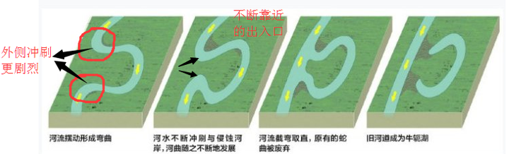 自由河曲如果被人为截弯取直河流会产生什么变化?