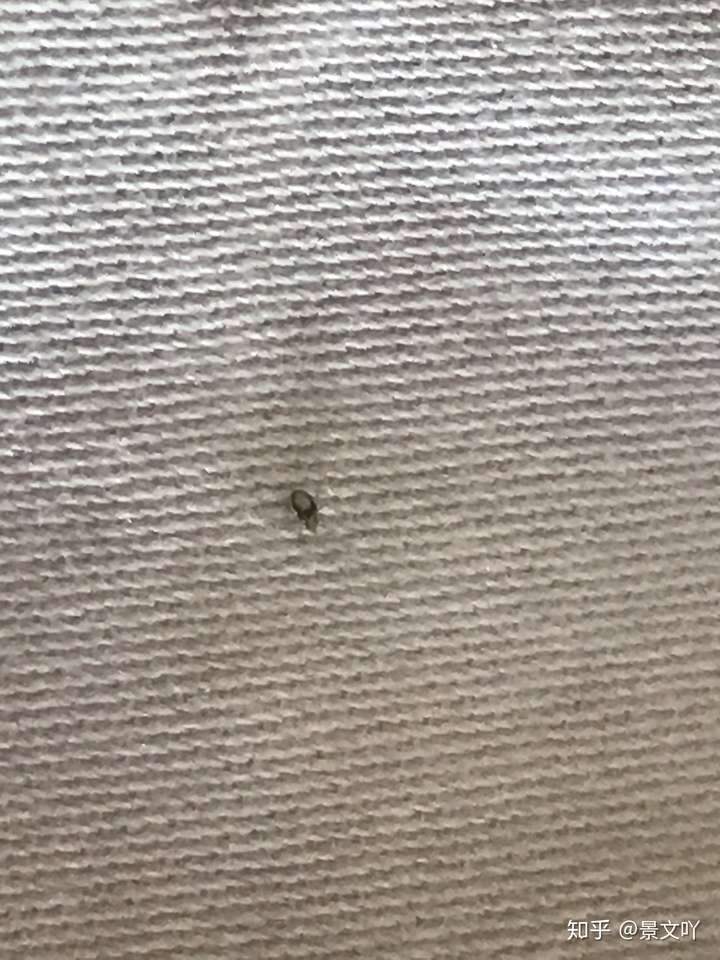 像是跳蚤和臭虫,这些虫子真的很小,撑死了可能也就一毫米我是趴在床上