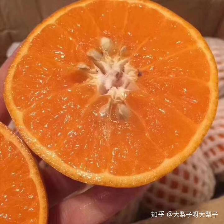 别的橙子我不知道表皮白色粉末是啥,茂谷柑外皮的白色粉末,有些人