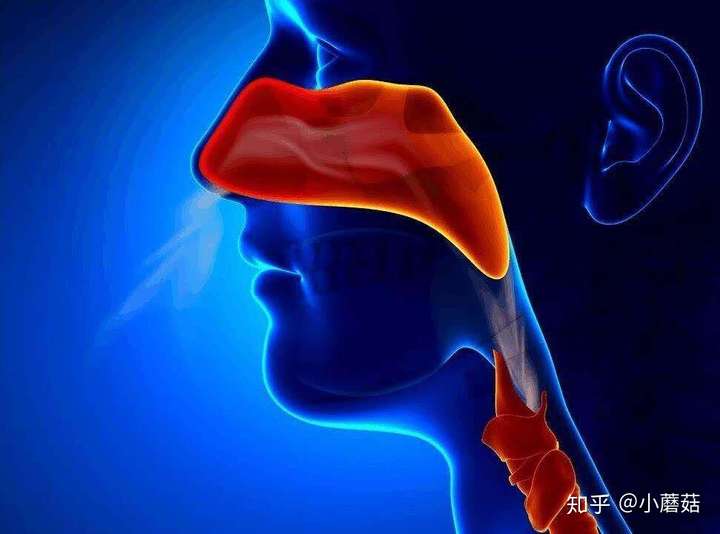 慢性咽喉炎会导致咽喉癌吗