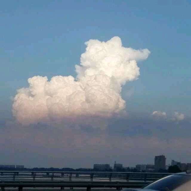 你拍到过哪些形状奇特的云?